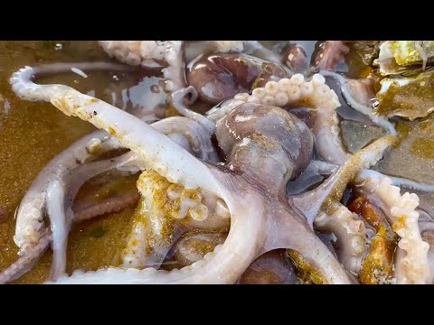 Octopus Cult ‎Smashing Peaceful Society 506204946_1127735459382959_745