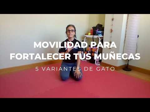 FORTALECE TUS MUÑECAS/5 VARIANTES DESDE GATO