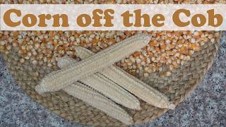 How to Easily Remove Dry Corn Seeds from the Cob