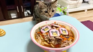 手作り年越しそばの香りに我慢できず邪魔しにきてしまった子猫w
