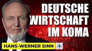 Hans-Werner Sinn Deutsche Wirtschaft Herzkrank