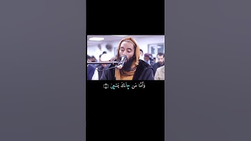 القارئ ابو تيمية بروايه خلف عن حمزه