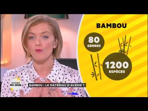 Vidéo: Couverture En Bambou (30 Photos): Avantages Et Inconvénients, Moelleux Et Longue Sieste, éco-bambou Pour Enfants Et Adultes, Caractéristiques Du Tissu