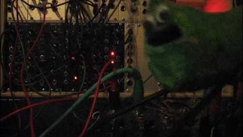 Sexy clockwork and the synthosaurus