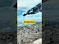 Antarctica: The Coldest Continent on Earth! 🐧🌍 #facts