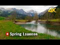 Switzerland 🇨🇭 Lauenen Spring Walk, DDLJ Wooden Bridge