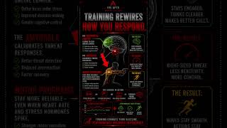 Why Concealed Carriers Crumble Under Stress