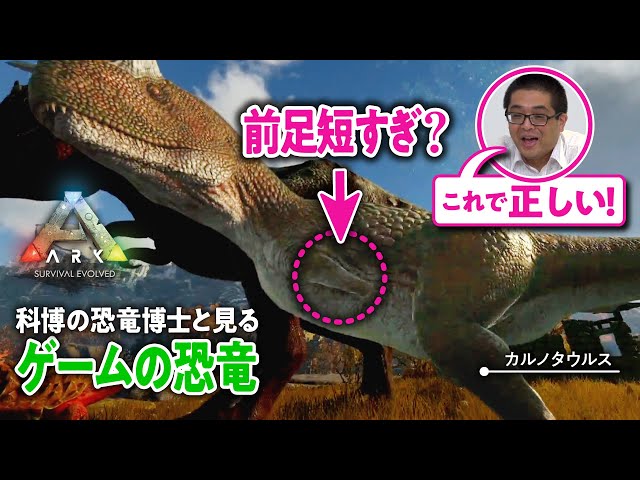 実は 恐竜の生き残り (貴重なアーカイブ) です。。。と か げ 実は 恐竜の生き残り (貴重なアーカイブ) です。。。と か げ