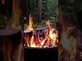 🔥Campfire No Loop. Fireplace with Cracking Sounds for Sleep, Study