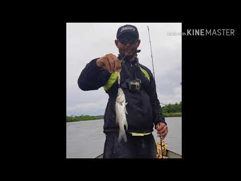 Pesca de robalo