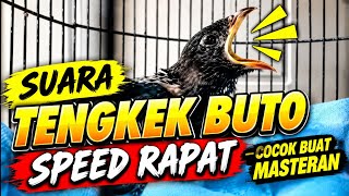 MASTERAN TENGKEK BUTO AUDIO JERNIH REAL VIDEO sering dicari | Tengkek anakan 18 September 2026