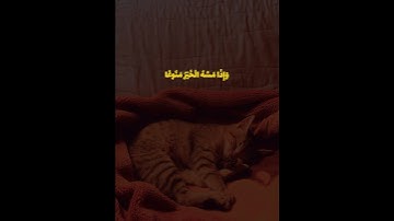تلاوة هادئه ،ما تيسر من سورة المعارج بصوت القارئ الشيخ محمد النا رحمه الله#quran#تلاوة_هادئة#for_