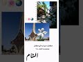 سلاف معمار دمشق حلوة يا بلدي 