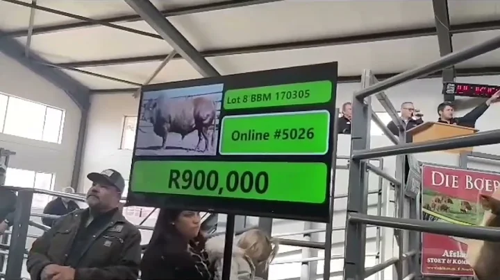 Bonsmara bull sold for R1 million