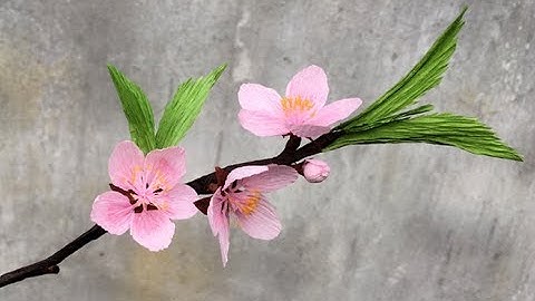 ABC TV | How To Make Peach Blossom Flower From Crepe Paper - Craft Tutorial