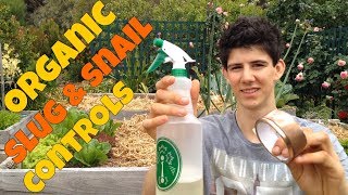 Organic Slug & Snail Controls For Vegetable Gardens