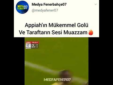Appiah Schalke golü ve ardından  müthiş  taraftar sesi 💛💙 Kaynak(Medya Fenerbahçe 07)