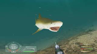 Shark Games Week - 100%ing Shark! Hunting the Great White screenshot 3