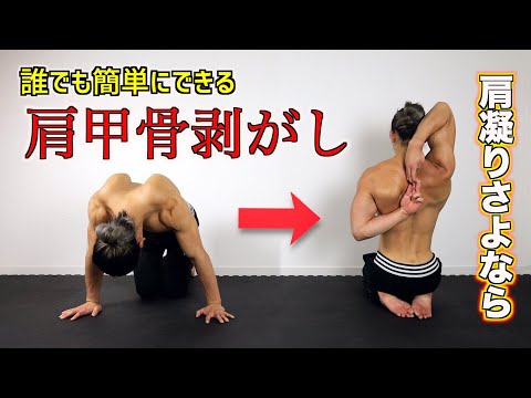 肩甲骨剥がし】セルフ整体でバキバキ肩を一瞬で解消できるストレッチ