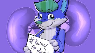 What Went Wrong With #kidneyforminty?