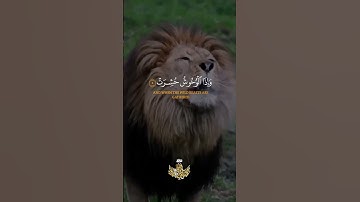 إذا الشمس كورت (1) وإذا النجوم انكدرت (2) وإذا الجبال سيرت = سورة التكوير = #عبدالباسط_عبدالصمد