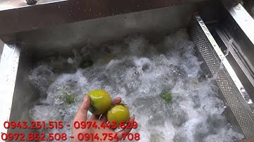Máy rửa rau củ quả sục ozonẻ | Công Ty TNHH Việt Trung