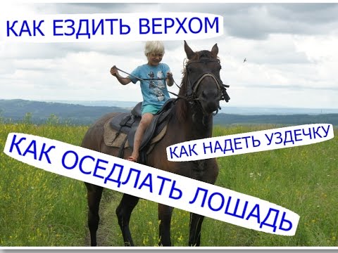 Как оседлать лошадь, как надеть уздечку, как ездить верхом /Семья Саверченко