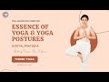 Essence of yoga  yoga postures  yoga day  digital prathiba  tachyons