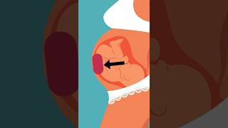 Kicks and Anterior Placenta #baby #pregnancy
