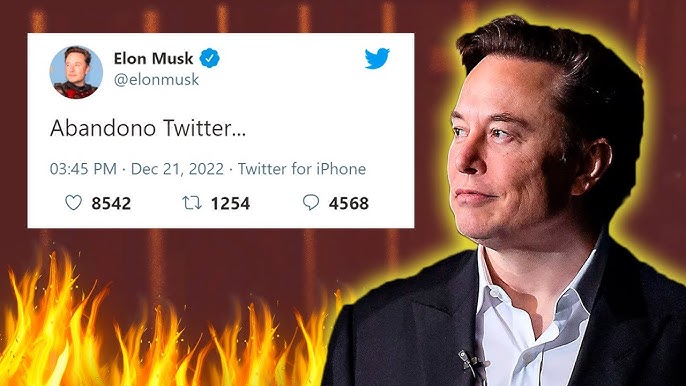 Elon Musk va a Dejar el Puesto de Director de Twitter por Votación de sus  Fans - YouTube