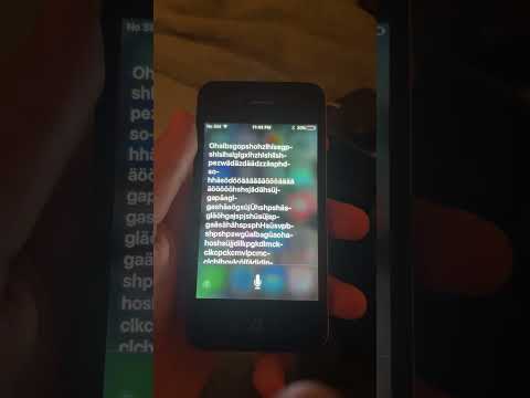 Two Siris Having A Stroke SIRI HAS A STROKE PT XIII