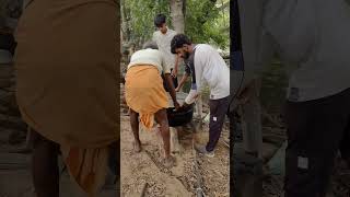 #karivirunthu #familyvlog #travel #trendingshorts #love #sathyamangalam #riverfishing