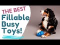 Busy Toys for Dogs That Are Fillable
