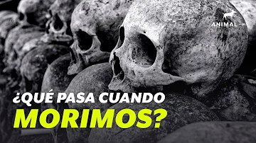 ¿Qué ocurre el día de la muerte?