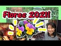 Quintal 2021!! As flores da primavera do Japao