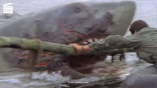Jaws 2: Where is He ? (HD CLIP)