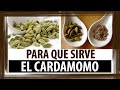 PARA QUE SIRVE EL CARDAMOMO | CARDAMOMO PROPIEDADES MEDICINALES BENEFICIOS DEL CARDAMOMO