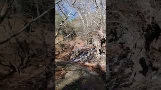 Kaynaklar Buca İzmir 2023