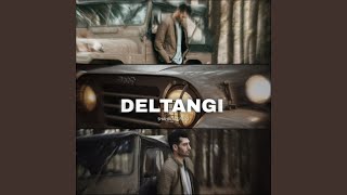 Deltangi - SHAHROUZ FARD