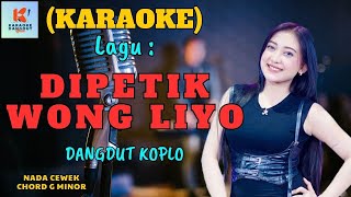 Dipetik Wong Liyo Karaoke | Karaoke Dangdut Official | Cover PA 600