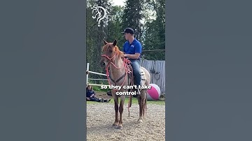 Working With A Client’s EMM Mustang! Part 7! | The Horse Guru - Michael Gascon