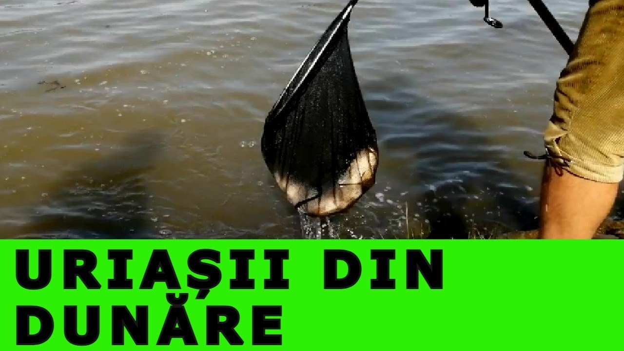 PESCUIT la CARAS pe DUNĂRE -2 ZILE de POVESTE