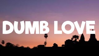 Mimi Webb - dumb love ( lyrics)