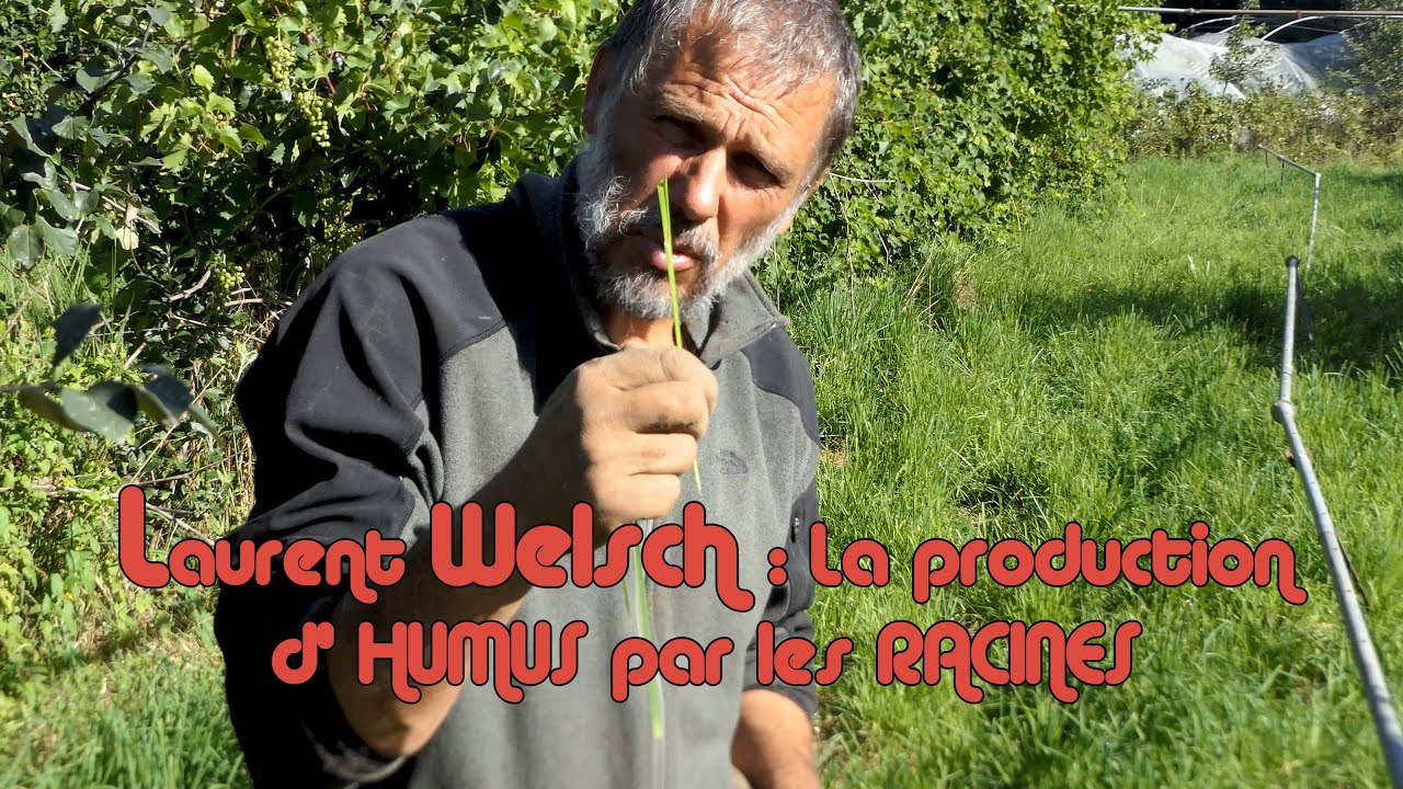 Laurent Welsh La production d'humus par les racines (3/5)