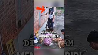 Download Mp3 Anjing Ini Tak Sadar Pemiliknya Ada di Belakang! Gudang lagu Download Mp3 Anjing Ini Tak Sadar Pemiliknya Ada di Belakang!