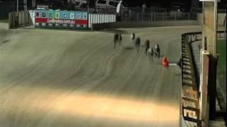 GOSFORD-03032015-RACE-4