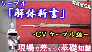 電源ケーブルの基本？「CVケーブル」を科学せよ！普段何気なく使っているCV、一体どんなケーブル？少し掘り下げてみました、題して「ケーブル解体新書」　電気屋日和#13