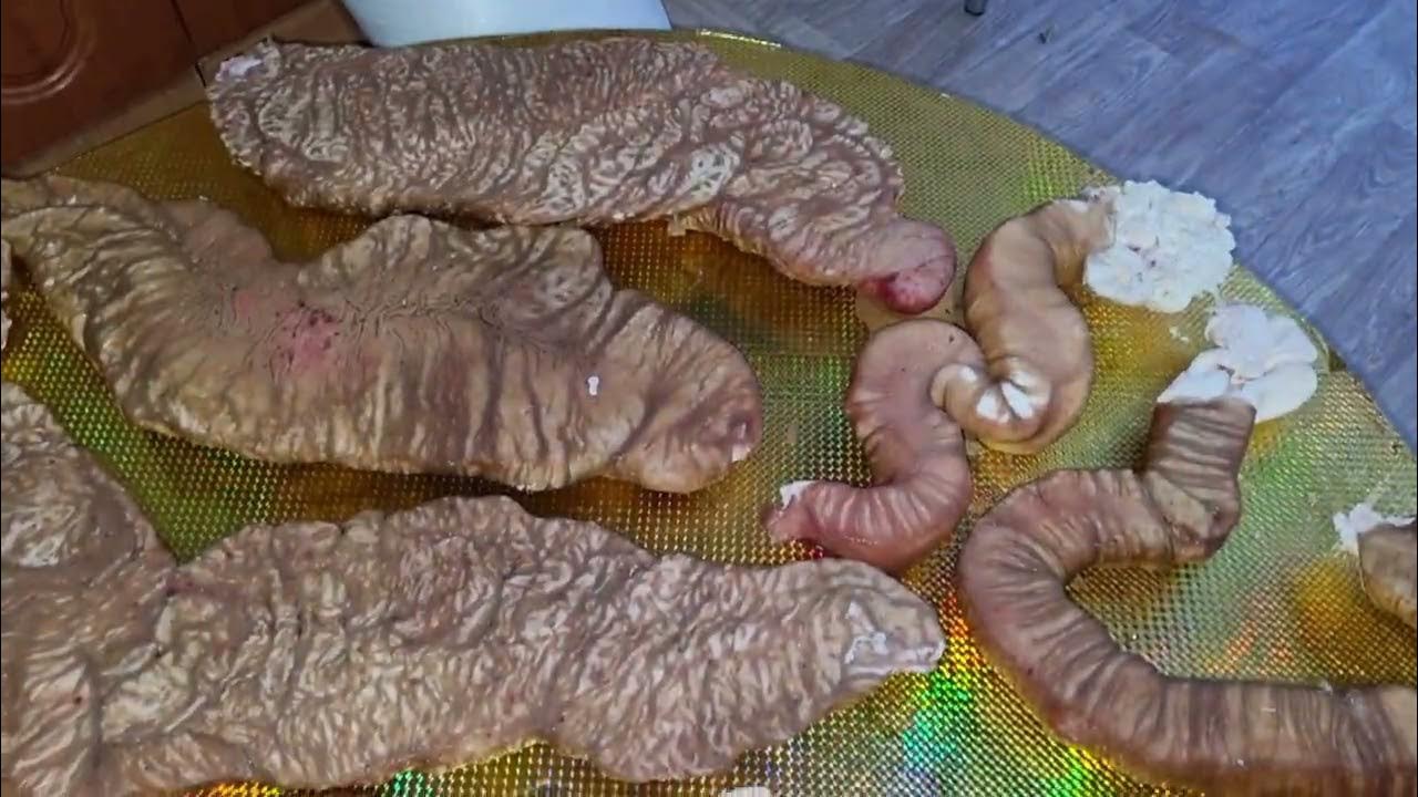 Порно ғажайып жопа фото