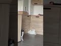 貞子？こわーい　