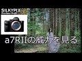 【SILKYPIX】a7RIIを最高に引き出す。